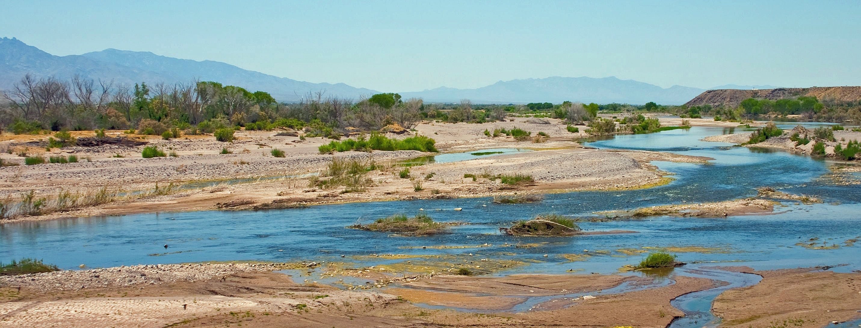A sprawling view of the gila river and wild plantlife
