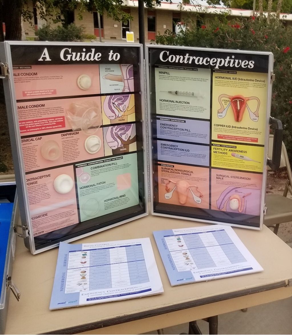 outside display about contraceptives and reproductive anatomy