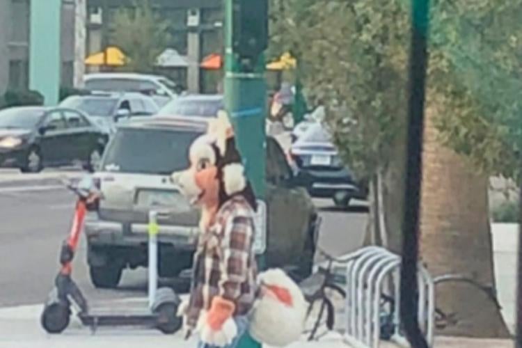 A person is suited in an orange, black, and white anthropomorphic doglike costume in Downtown Phoenix, Arizona