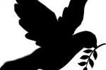The dove and I