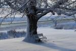 Recipe for a perfect winter