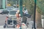 A person is suited in an orange, black, and white anthropomorphic doglike costume in Downtown Phoenix, Arizona